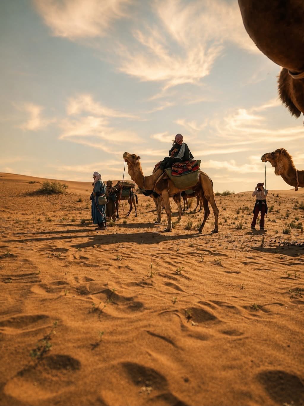 Travellers and cameleers with a camel caravan in the dunes