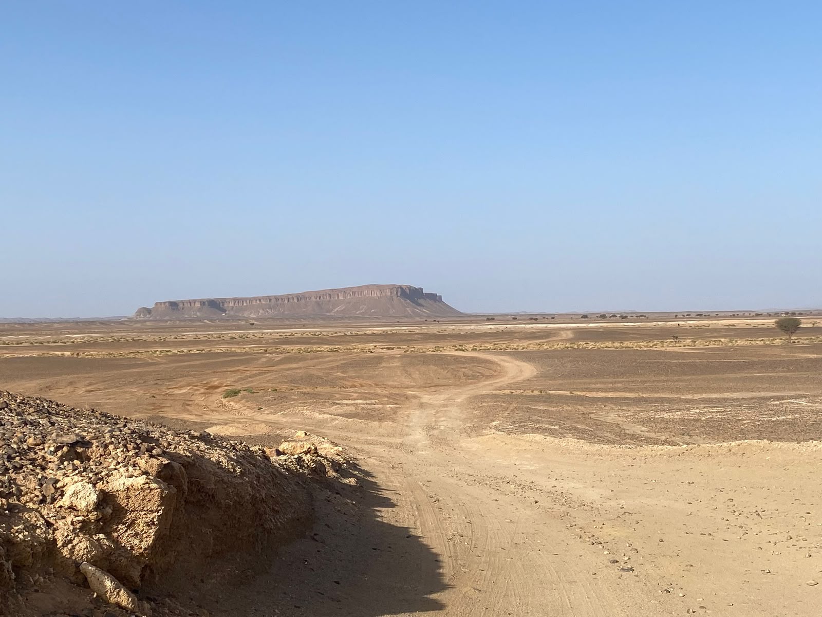 A desert track winding towards the horizon