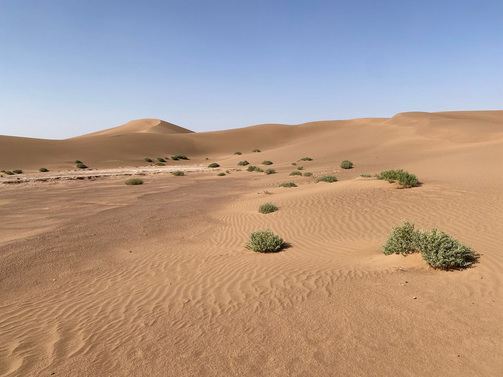 Dunes of the Erg Chegaga under a clear blue sky
