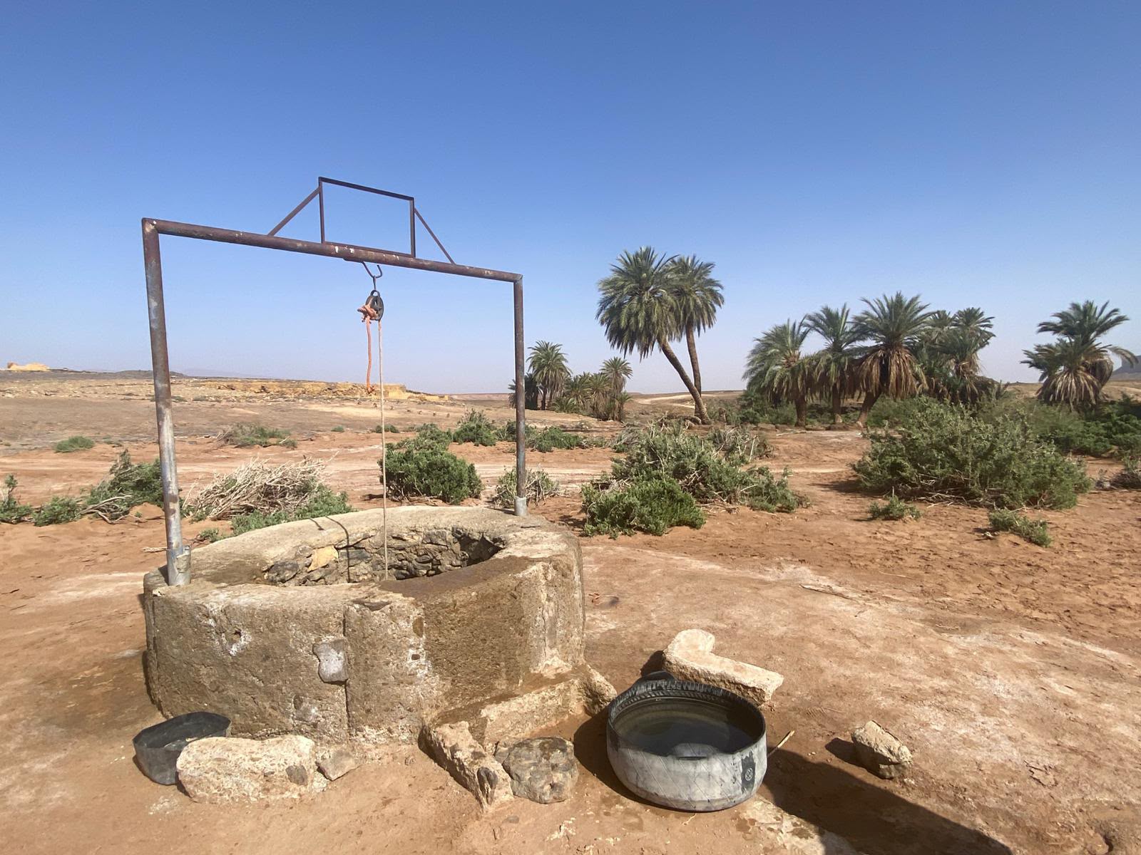 An old stone well with date palms behind it