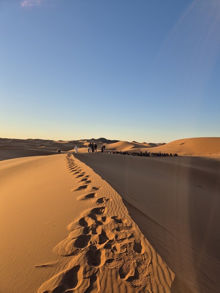 Footprints along a dune ridge in the golden light