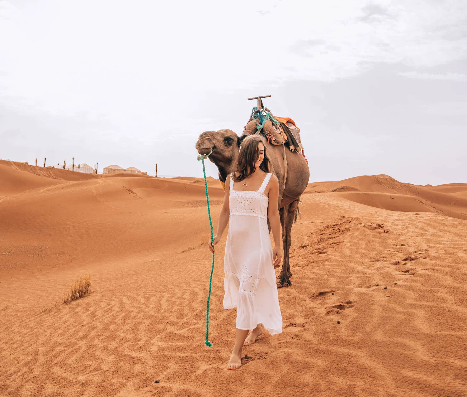 A traveller walking a camel across the orange dunes